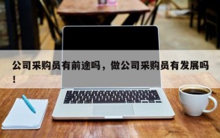 公司采购员有前途吗，做公司采购员有发展吗！