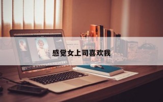 感觉女上司喜欢我