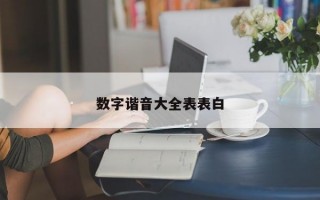 数字谐音大全表表白