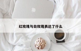 红玫瑰与白玫瑰表达了什么