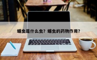 蠊虫是什么虫？蠊虫的药物作用？