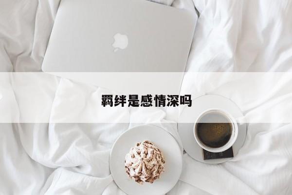 羁绊是感情深吗-第1张图片