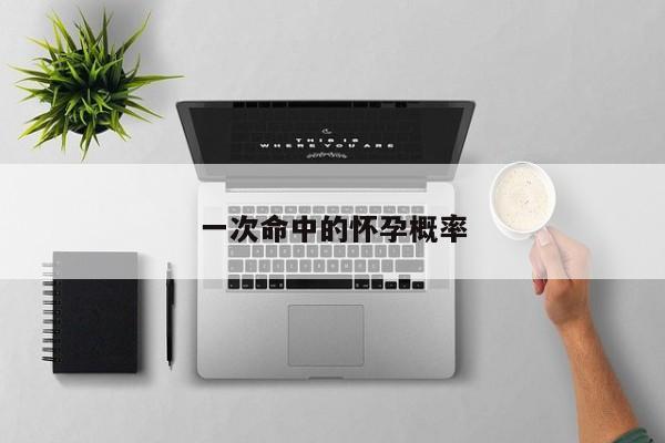 一次命中的怀孕概率-第1张图片